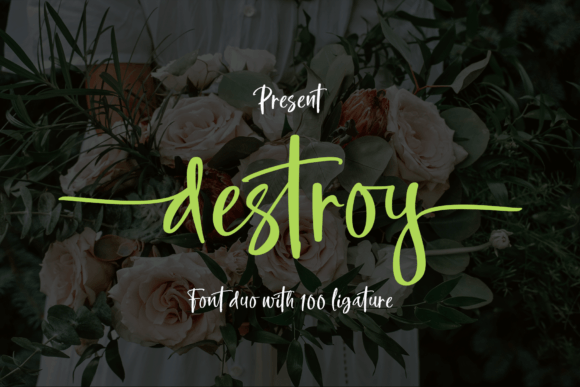 Destroy Font for Creative Campaigns